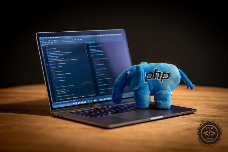 PHP OOP Starter Pack: Gaspol Pahami Kelas & Objek Dasar!