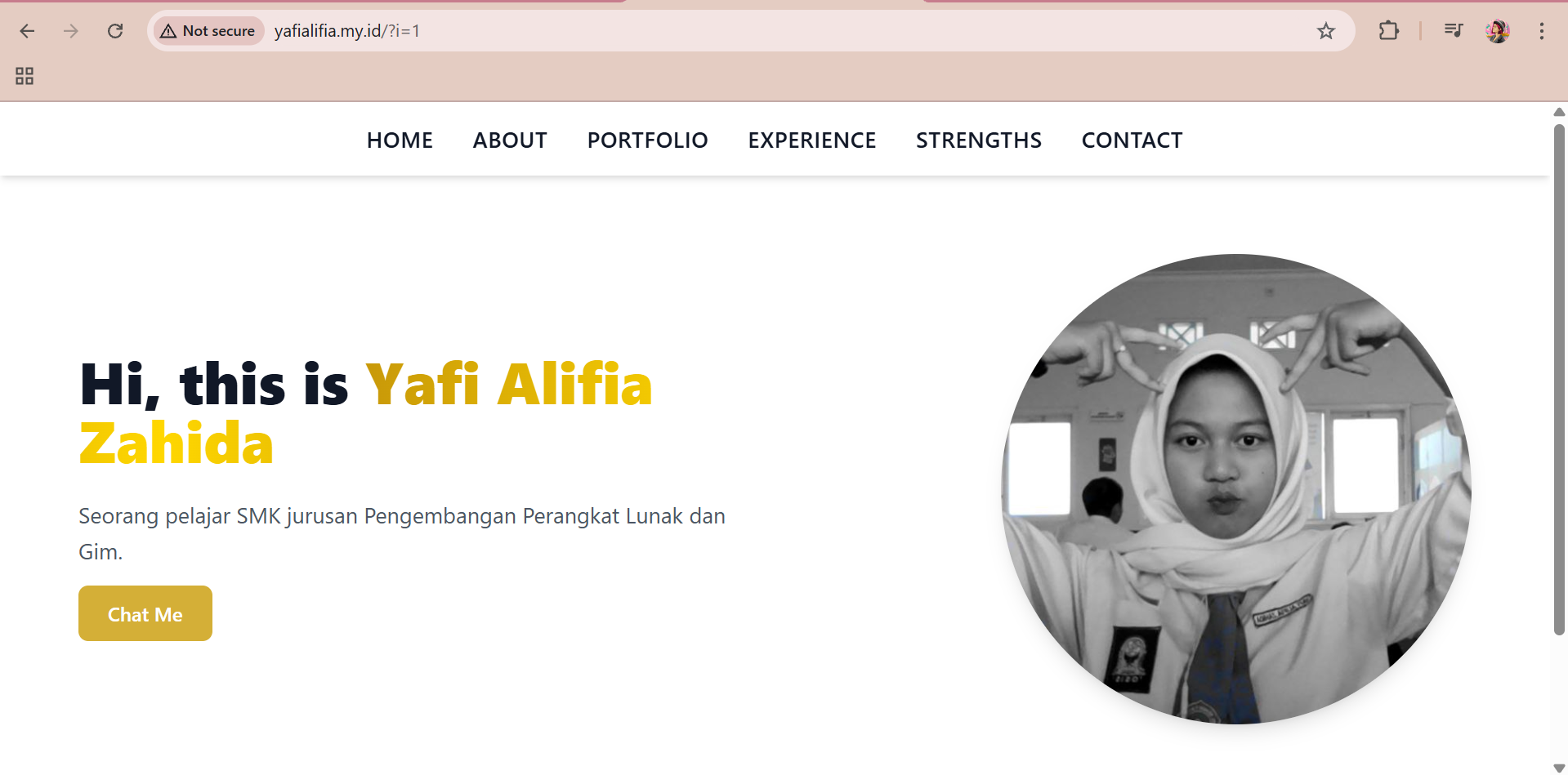 Web Portofolio