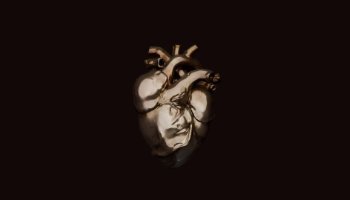 3D Model Heart - Portfolio #95