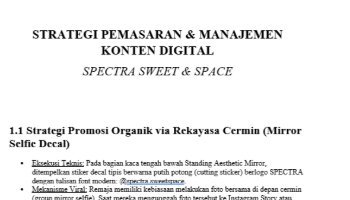 Cara Memasarkan - Bussines Plans