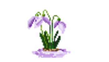 Gambar Pixil Bunga Snowdrop Putih