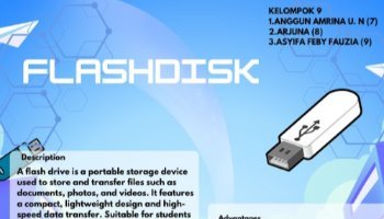 Infografis Flashdisk