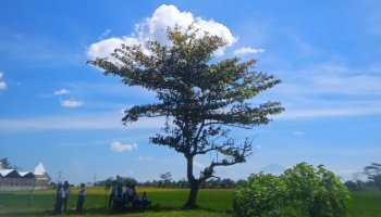 Latihan pendidikan karakter dan pekan disiplin