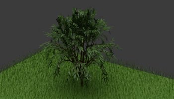 Membuat 3D Pohon Poly Simple