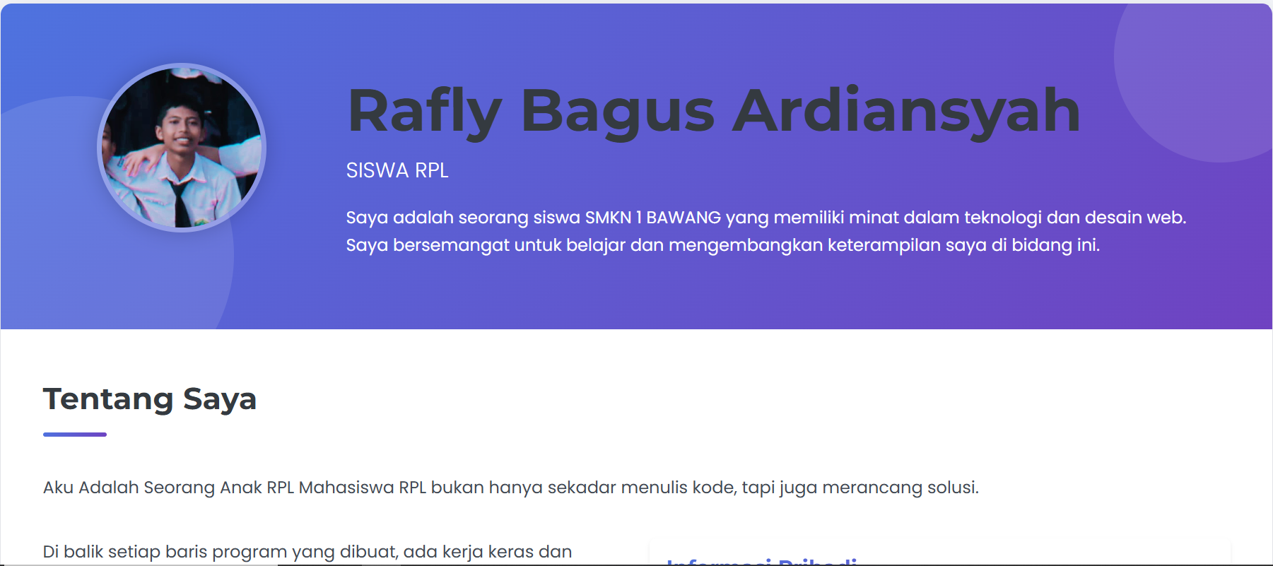 Website CV Raflyy