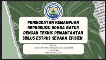 PPT Domba Batur