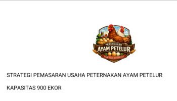 strategi pemasaran telur ayam petelur