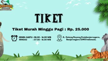 tiket masuk serulingmas