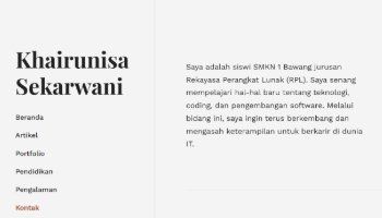 Website Curriculum Vintae dan Portofolio